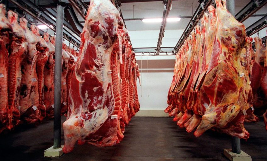 Carne bovina: mesmo com ausência da China, exportações do Brasil crescem 31%